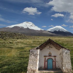 Norte Grande y Altiplano