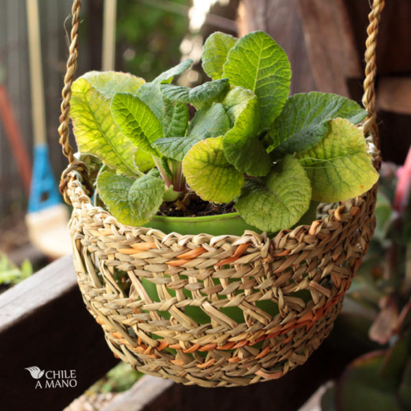 Dúo de canastos colgantes para terraza