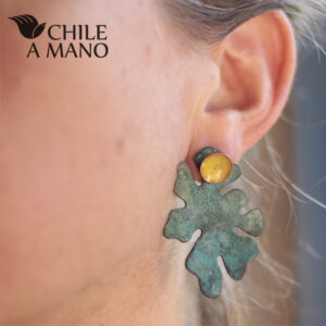 Alternative view of Aros de cobre asimétricos líquenes