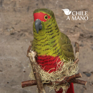 Alternative view of Aves chilenas en pedestal - Choroy