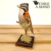 Aves chilenas en pedestal – Chincol
