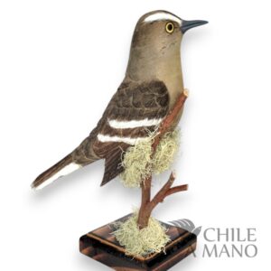 Aves chilenas talladas en madera - Tenca - pedestal - Imagen 2