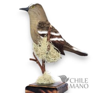 Aves chilenas talladas en madera - Tenca - pedestal