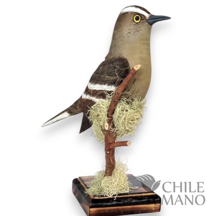 Aves chilenas talladas en madera - Tenca - pedestal - Imagen 4