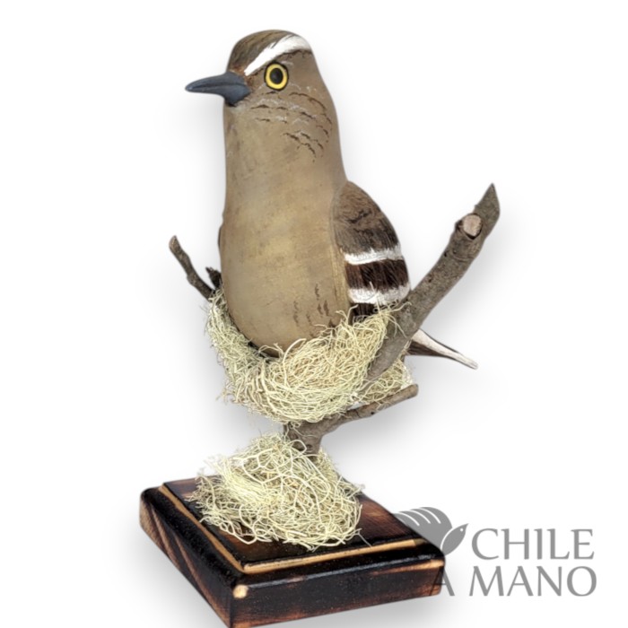 Aves chilenas talladas en madera - Tenca - pedestal - Imagen 3