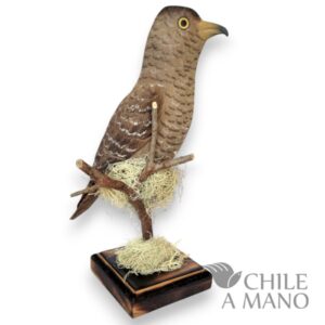 Aves chilenas talladas en madera - Tiuque - pedestal