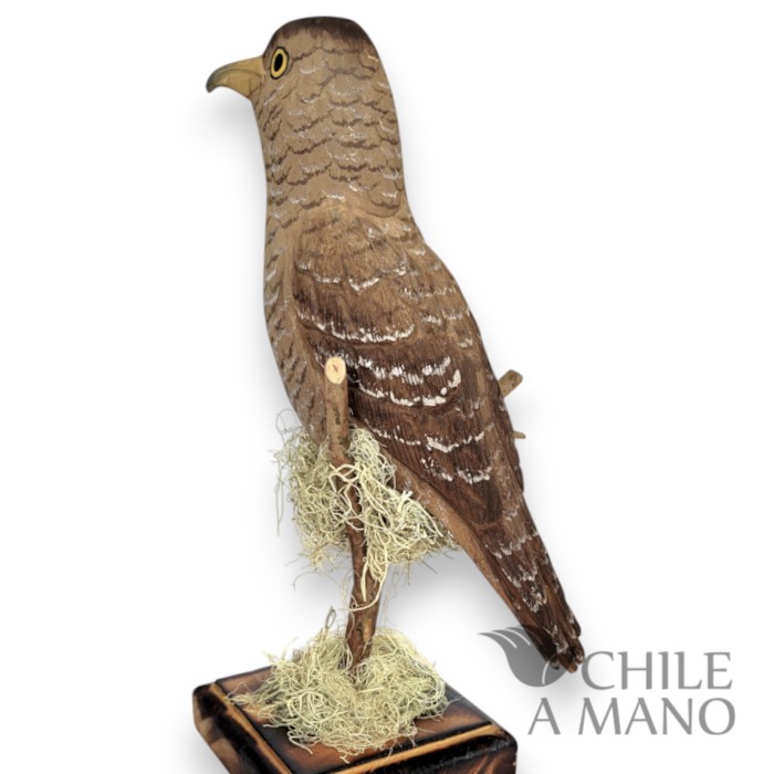 Aves chilenas talladas en madera - Tiuque - pedestal - Imagen 2